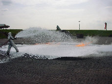 wp5cc13819_0f.jpg